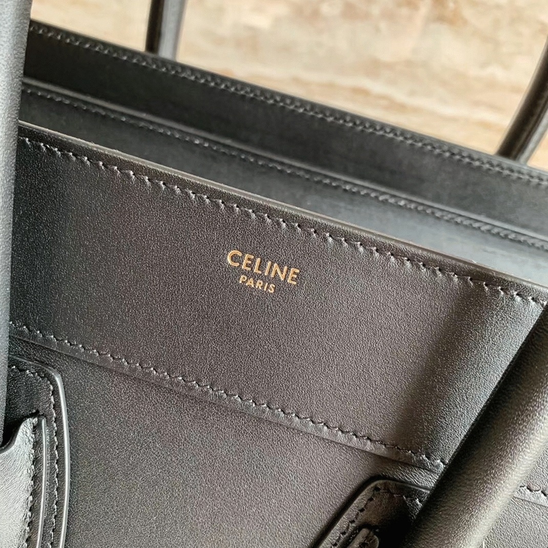 Ce1i*e Micro Luggage Tote Bag Replica in Black