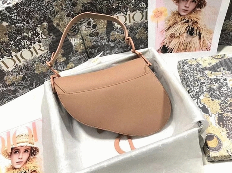 D10r Saddle Bag Replica in Blush Ultramatte Calfskin