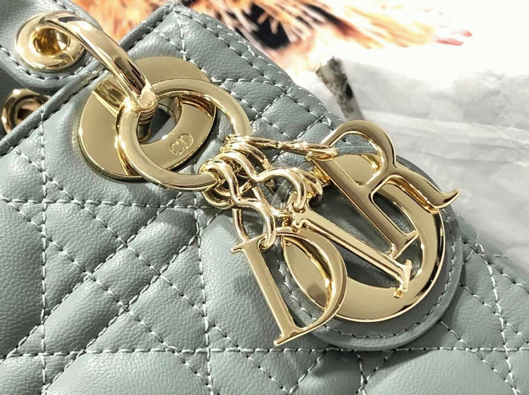 D10r Lady D10r Mini Bag Replica in Grey