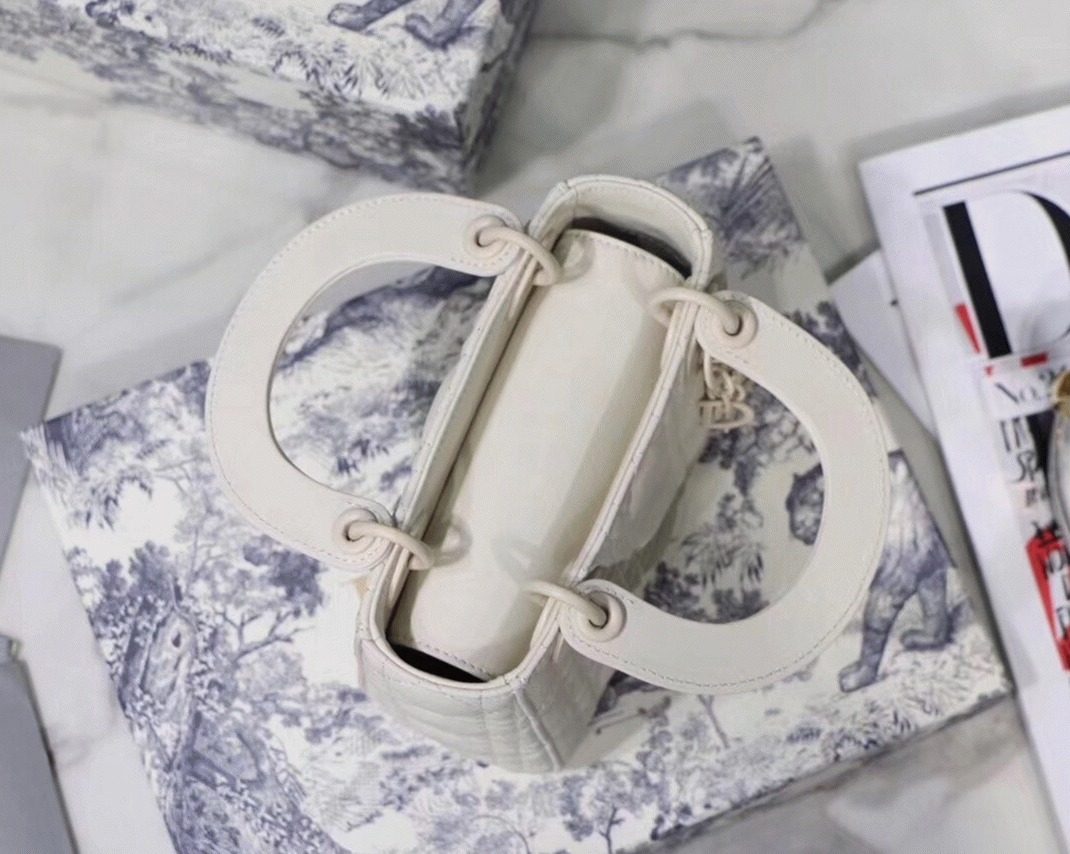 D10r Lady D10r Mini Chain Bag Fake in White